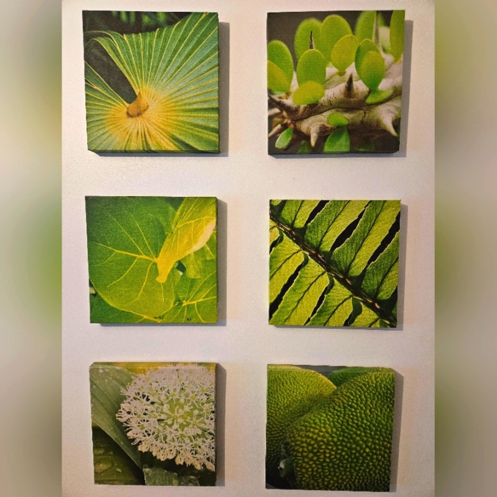 Set‎ of 6 wood decor frames